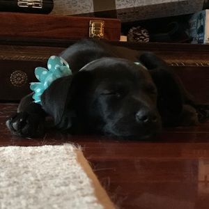 Meet Angie’s Closet!